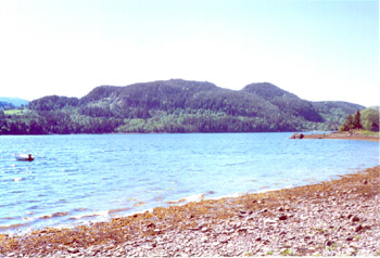 Lofjord 2002
