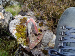 Wreckage found with paint still clearly visible